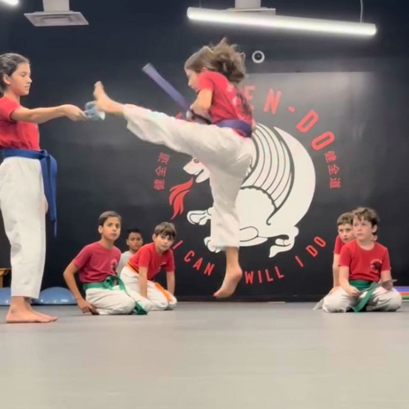 Chevy Chase martial arts classes for kids