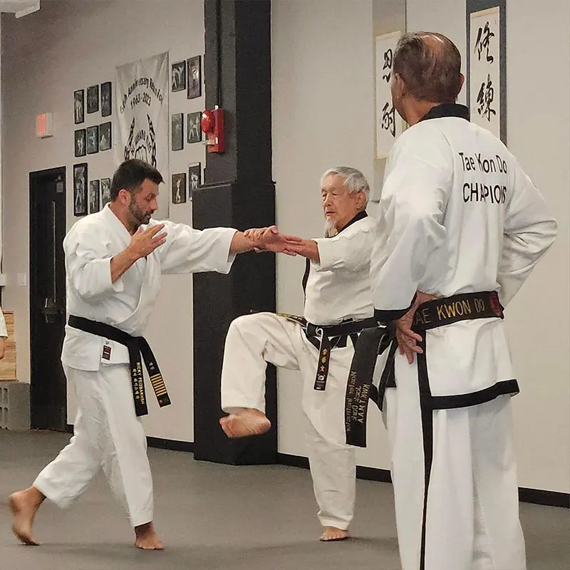 Adults taekwondo classes improving strength and fitness