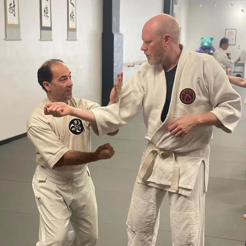 Adults taekwondo lessons reducing stress and improving mobility